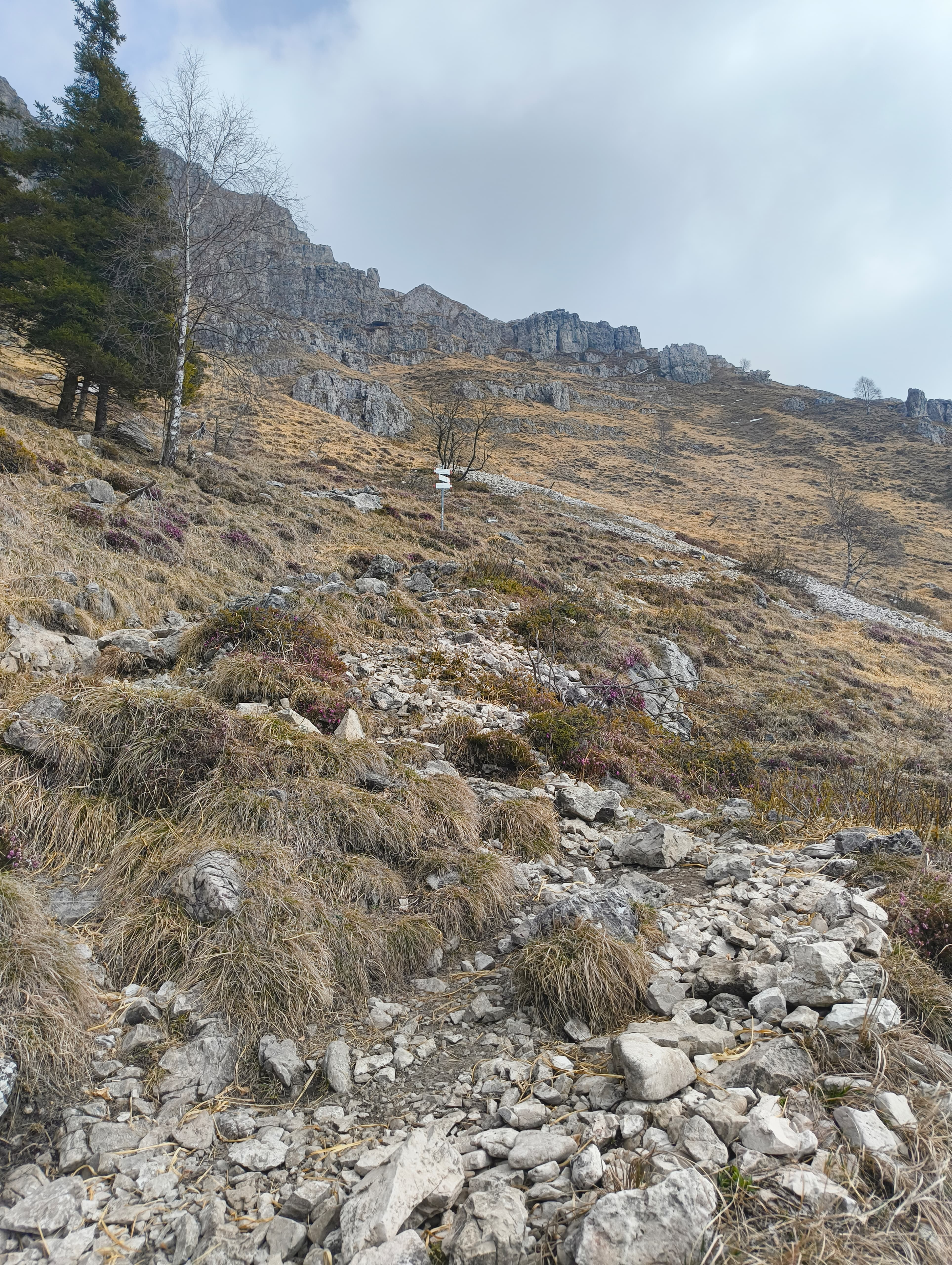 Foto n° 1 del trekking Resegone │ Gamma 1